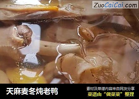 天麻麦冬炖老鸭