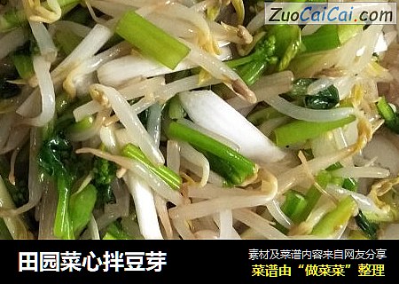 田园菜心拌豆芽