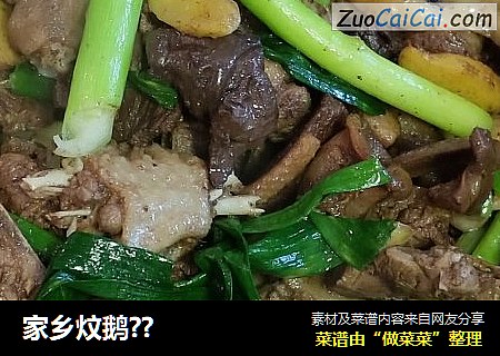 家乡炆鹅??