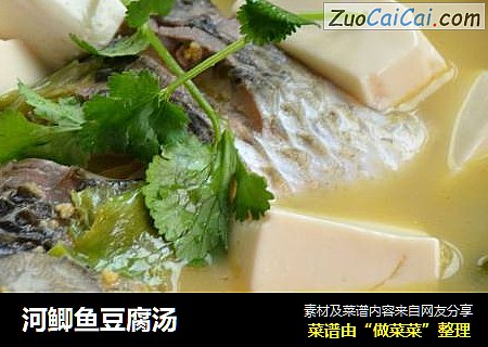 河鲫鱼豆腐汤