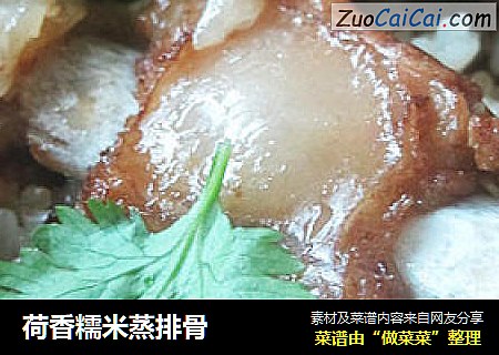 荷香糯米蒸排骨