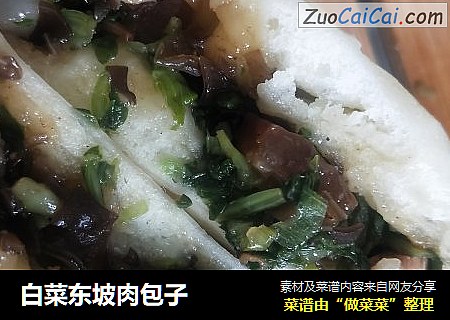白菜东坡肉包子