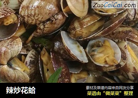 辣炒花蛤