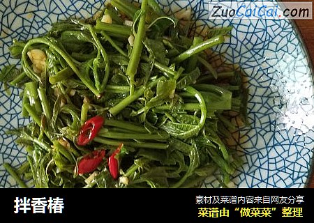 拌香椿