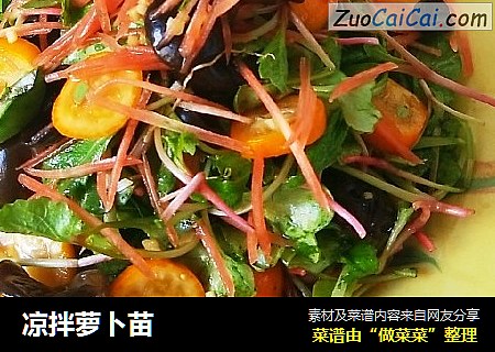 凉拌萝卜苗