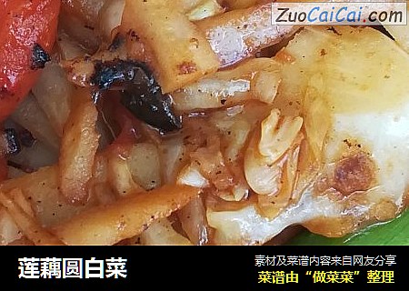 莲藕圆白菜