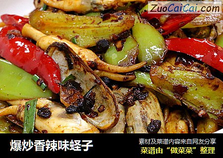 爆炒香辣味蛏子