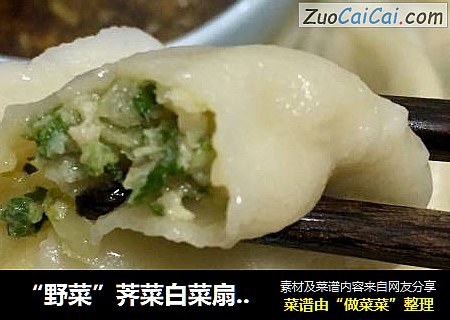 “野菜”荠菜白菜扇贝丁饺子