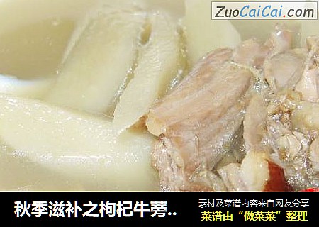 秋季滋补之枸杞牛蒡老鸭汤
