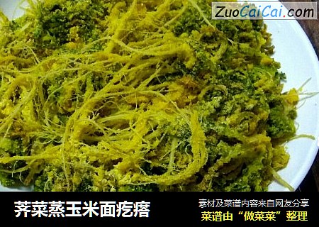 荠菜蒸玉米面疙瘩