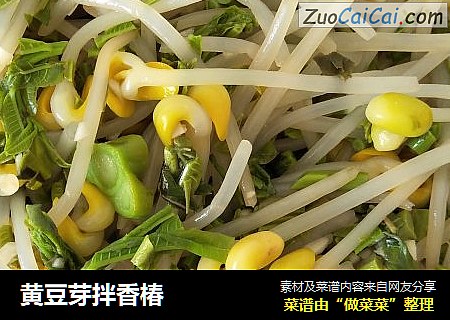 黄豆芽拌香椿