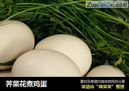 荠菜花煮鸡蛋