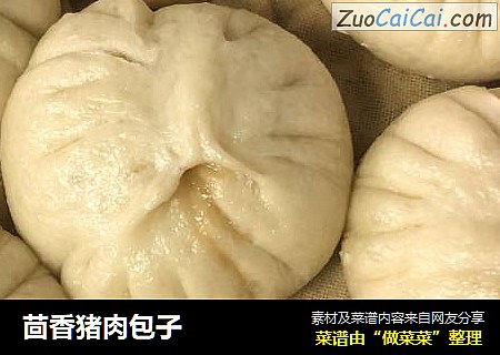 茴香猪肉包子