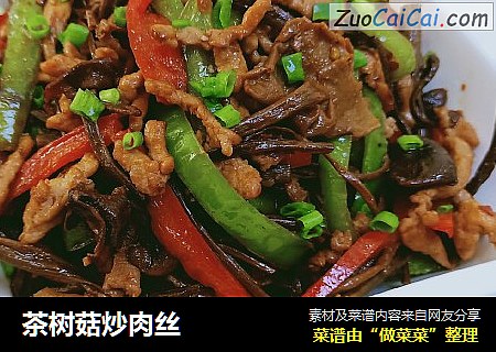 茶树菇炒肉丝