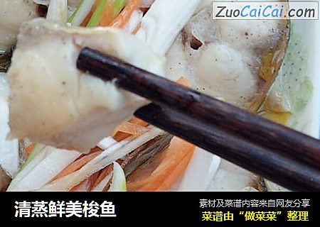 清蒸鲜美梭鱼