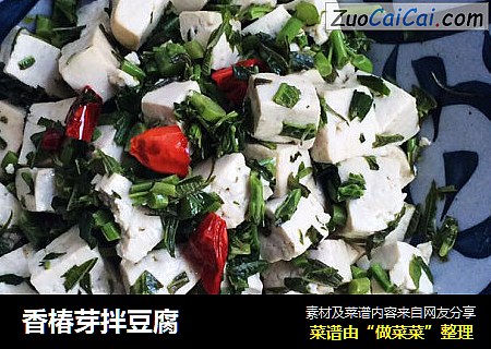香椿芽拌豆腐