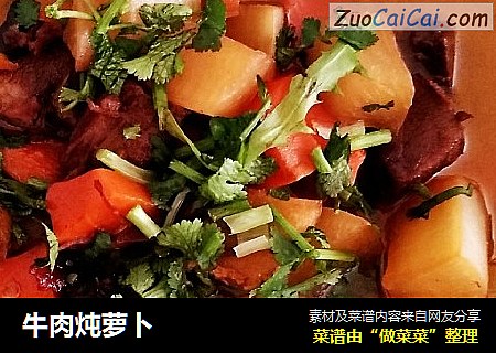 牛肉炖萝卜