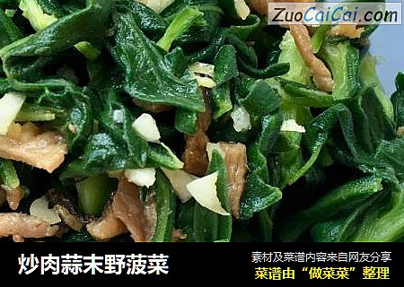 炒肉蒜末野菠菜