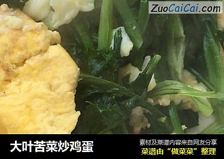大叶苦菜炒鸡蛋