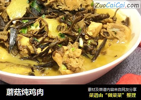 蘑菇炖鸡肉