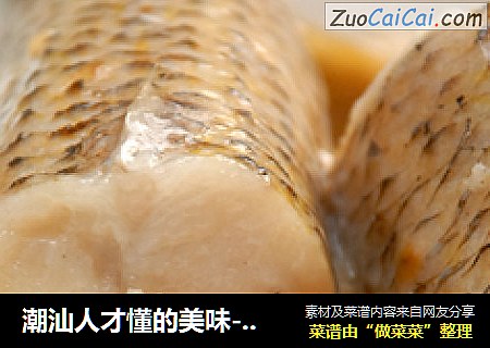 潮汕人才懂的美味------冬菜煮那哥