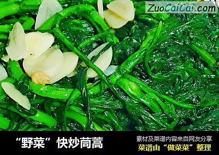 “野菜”快炒茼蒿