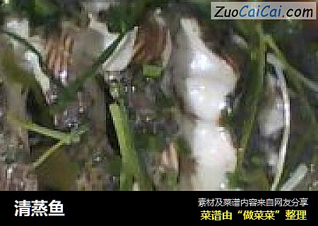 清蒸鱼