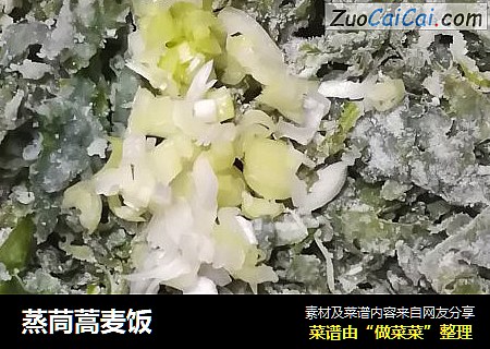 蒸茼蒿麦饭