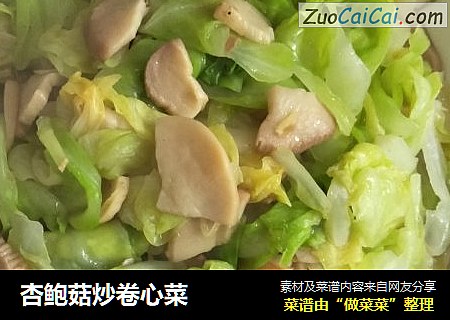 杏鲍菇炒卷心菜