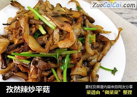 孜然辣炒平菇