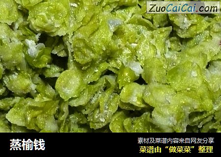 蒸榆钱
