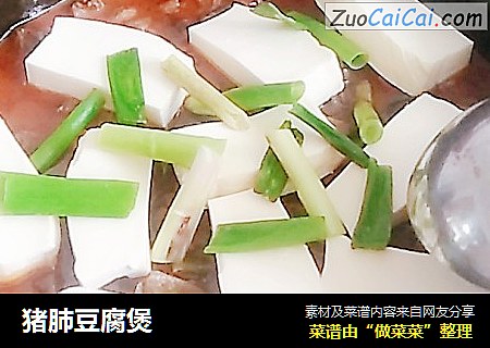 猪肺豆腐煲
