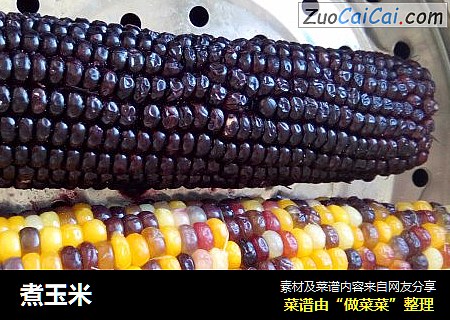 煮玉米