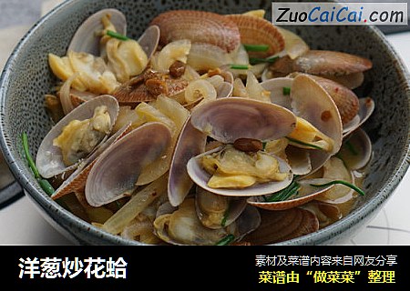 洋葱炒花蛤