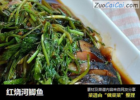 红烧河鲫鱼