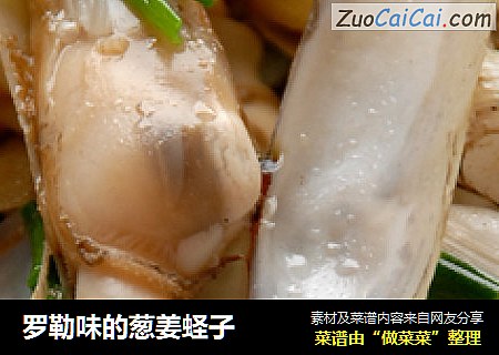 罗勒味的葱姜蛏子