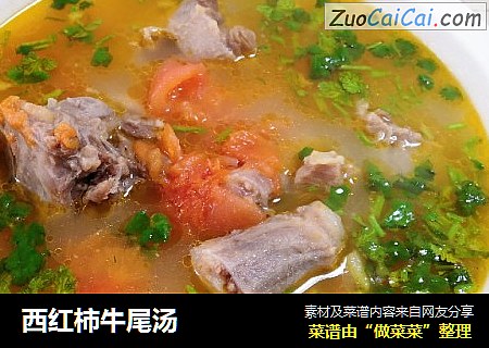 西红柿牛尾汤