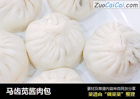 马齿苋酱肉包