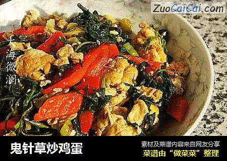 鬼针草炒鸡蛋