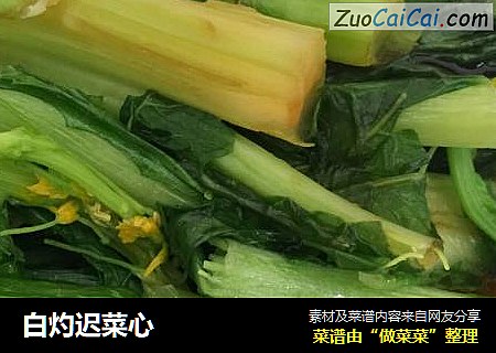 白灼迟菜心