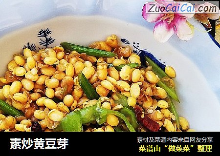 素炒黄豆芽
