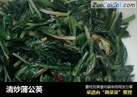 清炒蒲公英