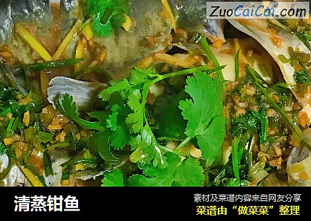 清蒸钳鱼