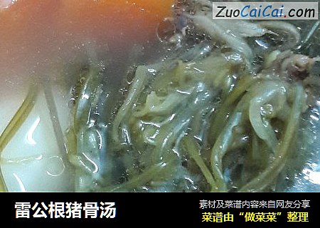 雷公根猪骨汤