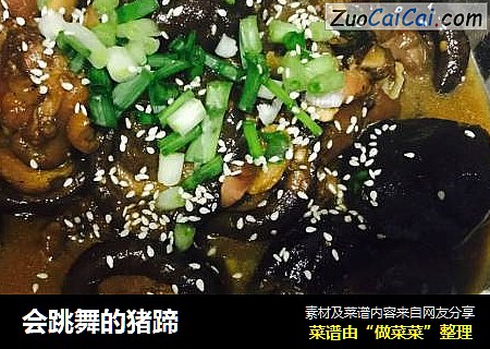会跳舞的猪蹄