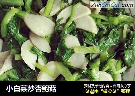 小白菜炒杏鲍菇