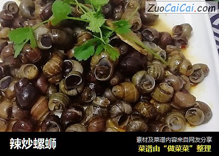 辣炒螺蛳