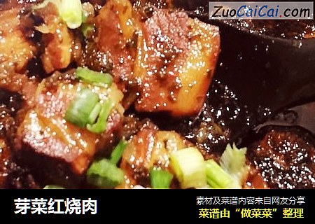 芽菜红烧肉