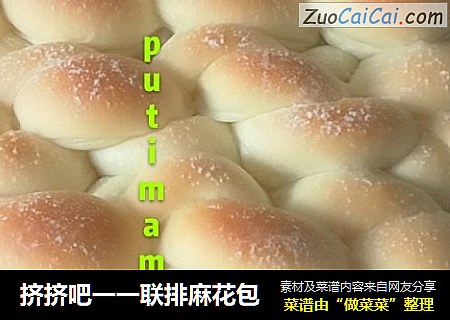 挤挤吧一一联排麻花包