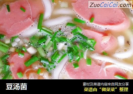 豆汤菌